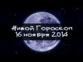 Смешная Зайка - гороскоп для ТЕЛЬЦОВ . + Очередная шутка! 