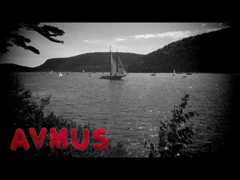 Via Attraverso il Pesce