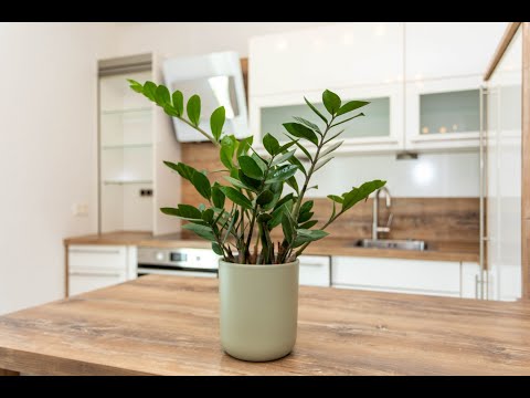 ERFOLGREICH VERKAUFT! Leben am #See: #Eigentumswohnung in #Podersdorf