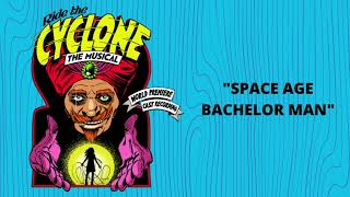 Cover art for Space Age Bachelor Man