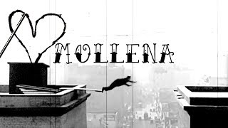 Benjamino&#39;s Paisley Hootenanny - Mollena(by James Hunter)