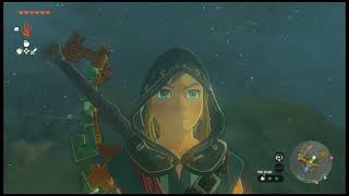 The Legend of Zelda: Tears of the Kingdom 【today's stroll】day4④：ゼルダの伝説　ティアーズオブザキングダム【今日の散歩】4日目④