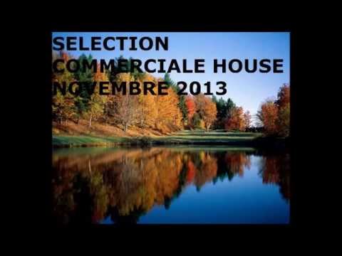 Selection Commerciale House Novembre 2013 By DJ Perro