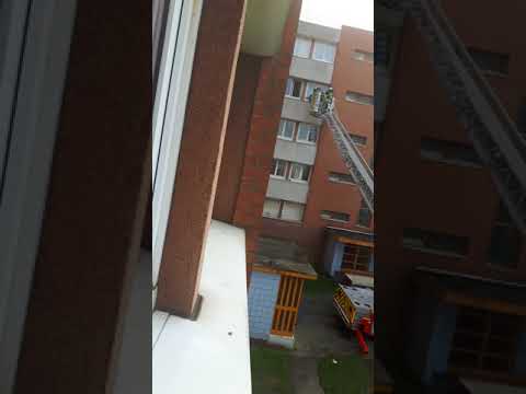 Sauvetage d un chien