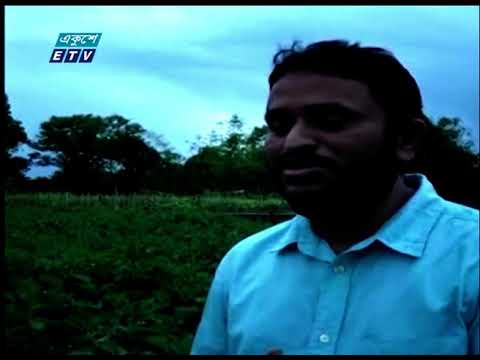 বিভিন্ন সবজির সাথে গ্রীষ্মকালীন শিম চাষ করে সাফল্য