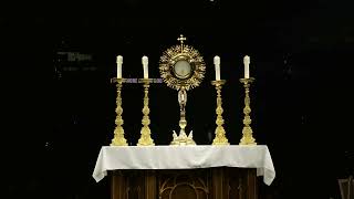 Set a Fire - Dave Moore - Live at the NEC 