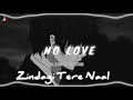 Zindagi Tere Naal X Dildariyaan Slowed Reverb Atif Aslam Mashup Ai Cover