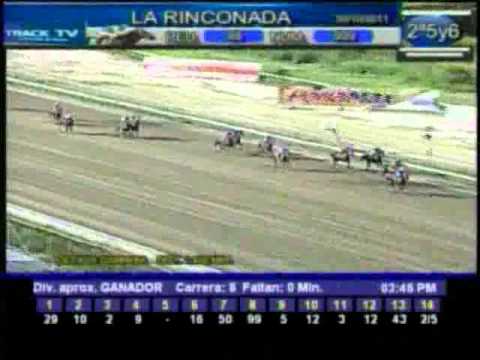 Resumen Domingo, 29 de Octubre de 2011 - La Rinconada