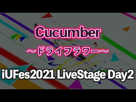 情報経営イノベーション学科 ドライフラワー/Cucumber【iUFes2021 LiveStage Day2】