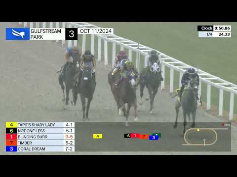 Blinging Burr Maiden Win Gulfstream Park