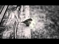 Fairouz - Layali El Shimal El Hazeni - Songs Of Butterfly Fairouz - Layali El Shimal El Hazeni