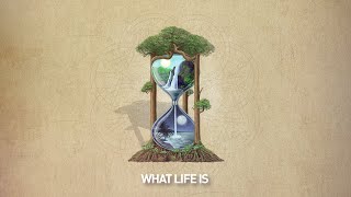 What Life Is Music Video