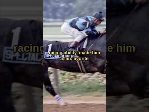 Spectacular Bid 🏇🏼 #horseracing #horserace #horselover #racehorse #horses #spectacularbid