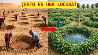 ¿Cómo están los refugiados transformando el desierto del Sahara en un cinturón verde?