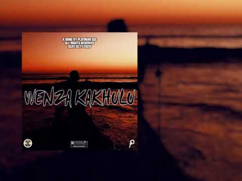 Platinum Gee - Wenza Kakhulu [AUDIO]
