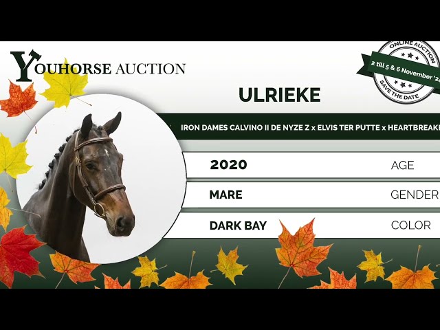 Ulrieke try out