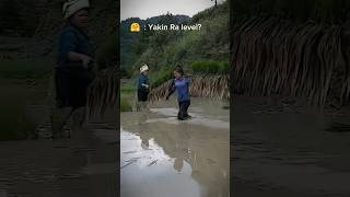Download lagu petani cantik mp3
