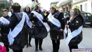 preview picture of video 'Sfilata gruppi mascherati - Sannicandro di Bari - 02.03.2014'