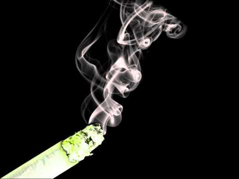 The95euro-Mis kimud seal lipakas.