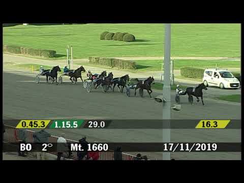 2019 11 17 | Corsa 2 | Metri 1660 | Premio Rayton Caf