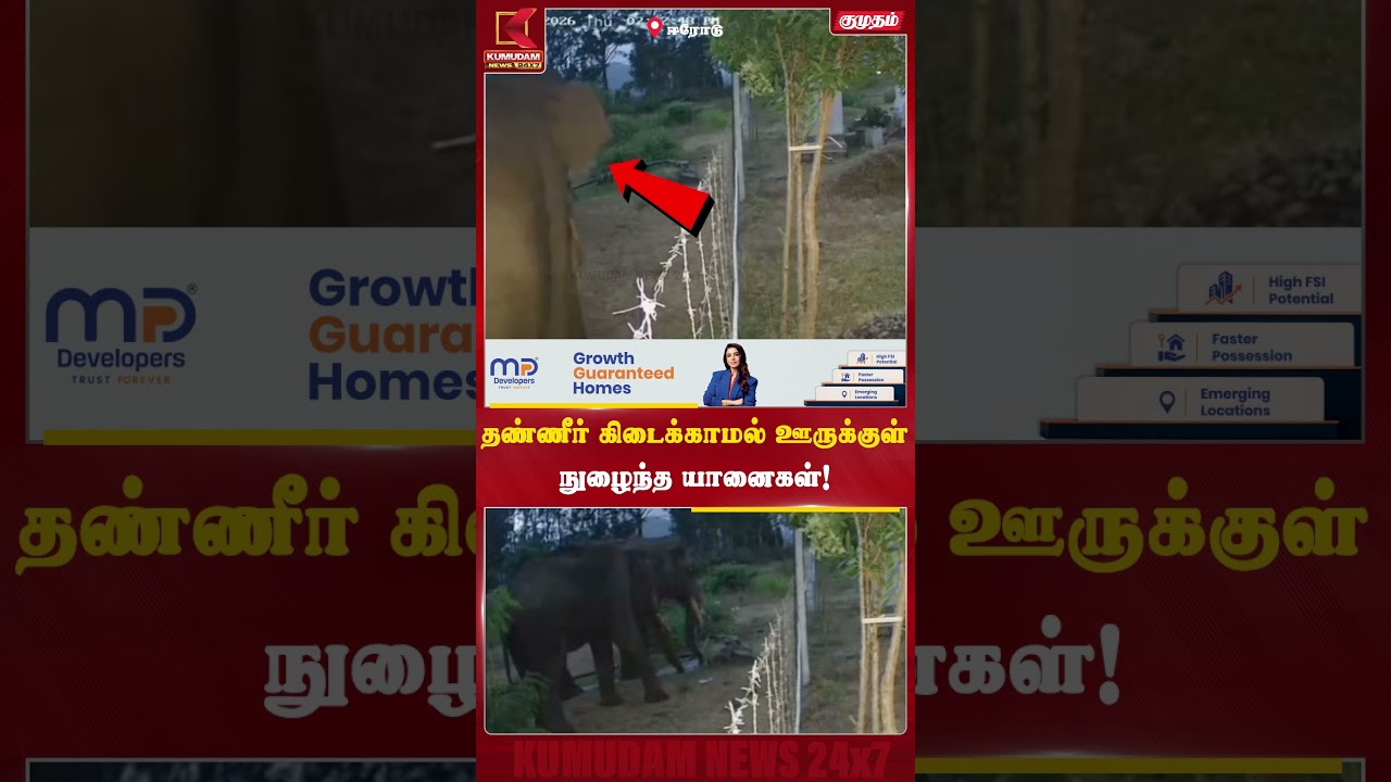 தண்ணீர் தேடி ஊருக்குள் நுழைந்த யானைகள்! Elephant | Water | Kumudam News