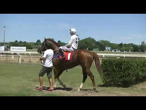 CARRERAS SINT PAYSANDU - 221117 c02 1° MADMAN