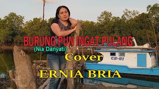 Download lagu BURUNG PUN INGAT PULANG (Nia Danyati)cover - ERNIA BRIA-Studio DONBERS MALAKA Chanel (SDM)-TV Malaka mp3