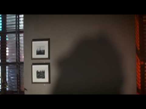 The Street Rat King Part 2 - Ralphie