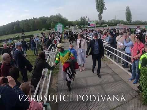 Pozvánka I. kvalifikace na 129. Velkou pardubickou steeplechase