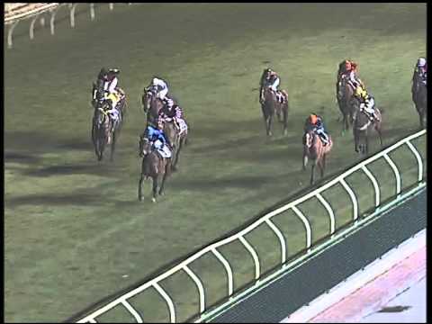 Galoppo 13/02/2015 - 6° corsa