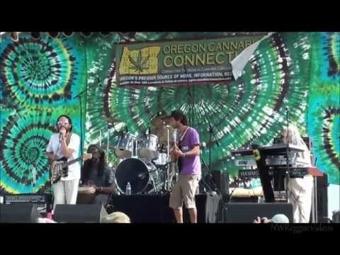 The Cultivators Live at The Jefferson State Hemp Expo & Music Festival 2012