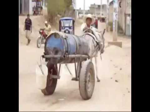 EL ULTIMO ANCIANO MAYA NOMBRADO DESPUES DEL BAKTUN