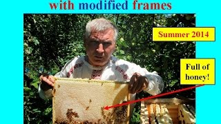 preview picture of video 'Look for Effective Healthy Beehive? Beehive of Vasyl Priyatelenko (Ukraine)'