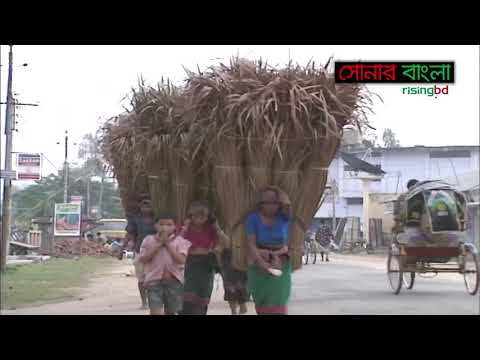 পাহাড় ও ক্ষুদ্র নৃতাত্ত্বিক গোষ্ঠী || সোনার বাংলা