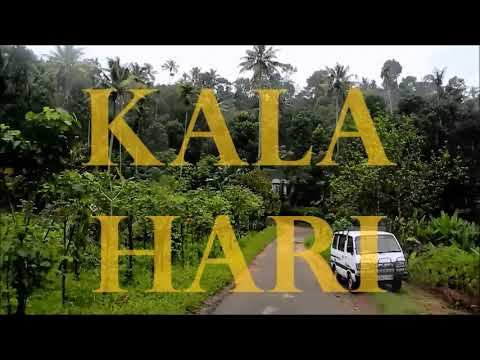 Giuseppe Amore - Kalamari (Zitrusfrucht Pt. II) // EDLE BRÜDER