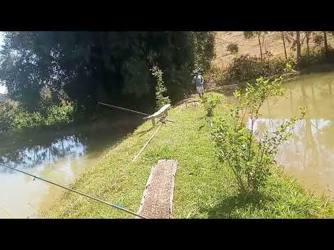 Pescaria em Tocantins Minas gerais 