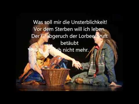 Wie wird man seinen Schatten los Karaoke & Lyrics Full HD