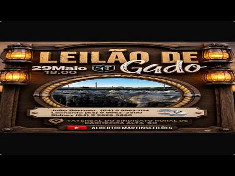 LEILÃO ALBERTO e MARTINS 29/05/2026 AS 18:00 hs em Cachoeira Alta Go.