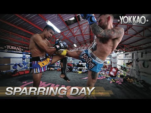 Muay Thai Sparring | Liam Harrison Vs Superlek | YOKKAO Training Center