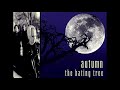 Autumn  -  How It Came to Be this Way