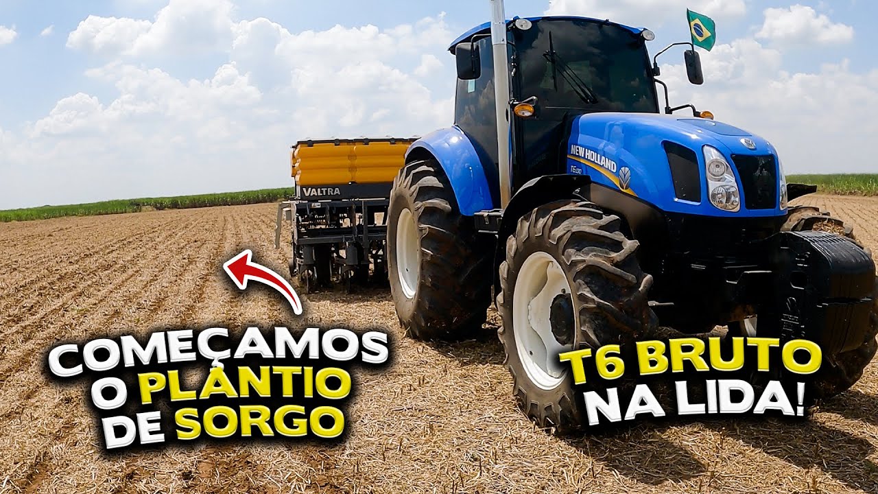 FAZENDO SAFRINHA PELA PRIMEIRA VEZ | PLANTANDO SORGO