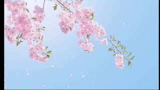 Download lagu Damsonegongbang friends mp3 Download lagu Damsonegongbang friends mp3