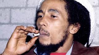 Hypocrites - Bob Marley (LYRICS/LETRA) [Reggae]