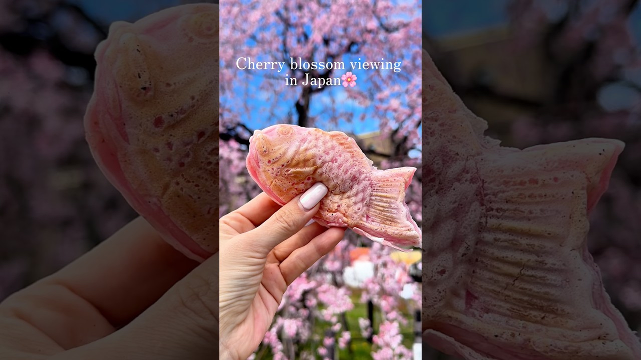 【春にしか食べれない桜たい焼き🌸】#japanesefood