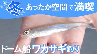 【1月釣り】ワカサギ釣り&観光で休日を満喫！ドーム船で暖かく快適に！