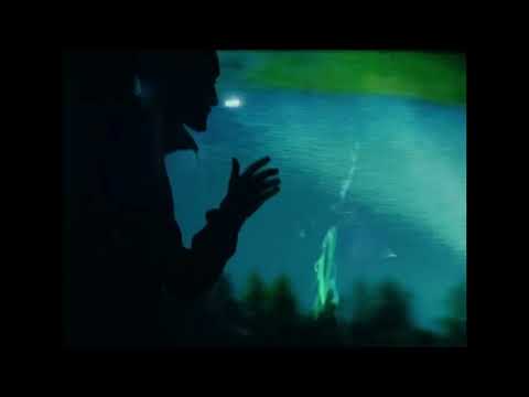 Jan-Rapowanie, Frank Leen - Widok ( DŁUGA WERSJA )