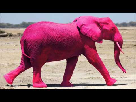 Hardbouncer - Pink Elephants