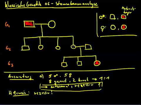 klassische Genetik 06 - Stammbaumanalyse