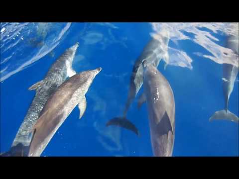 Hanna Włodarczyk - A to Ci historia! (first recording)