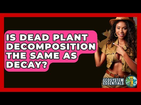 Is Dead Plant Decomposition The Same As Decay? - Ecosystem Essentials